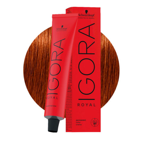 Schwarzkopf Igora Royal 6-77 Biondo Scuro Rame Extra 60ml - colorazione permanente