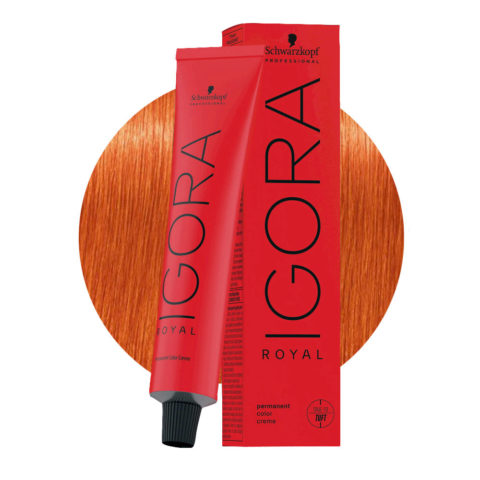 Schwarzkopf Igora Royal MIX 0-77 Concentrato Rame 60ml - colorazione permanente