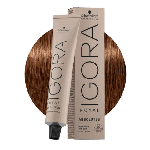 Schwarzkopf Igora Royal Absolutes 6-60 Biondo Scuro Cioccolato Naturale 60ml - colorazione permanente