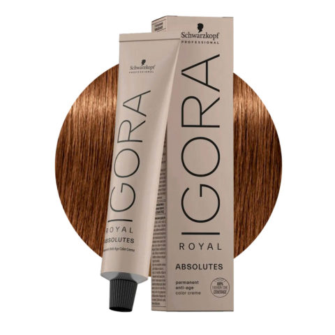 Schwarzkopf Igora Royal Absolutes 7-60 Biondo Medio Cioccolato Naturale 60ml - colorazione permanente