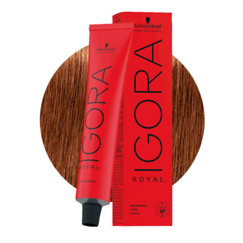 Schwarzkopf Igora Royal 7-76 Biondo Medio Rame Cioccolato 60ml - colorazione permanente