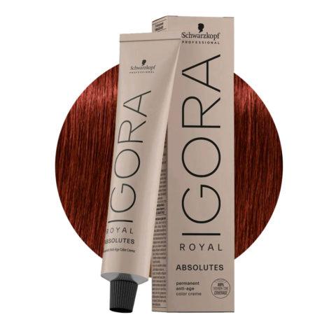 Schwarzkopf Igora Royal Absolutes 6-80 Biondo Scuro Rosso Naturale 60ml - colorazione permanente