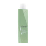 VIAHERMADA Purifyng Shampoo 250ml - shampoo purificante cute grassa