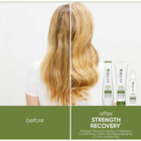 Biolage Strength Recovery Shampoo 250ml Conditioner 200ml