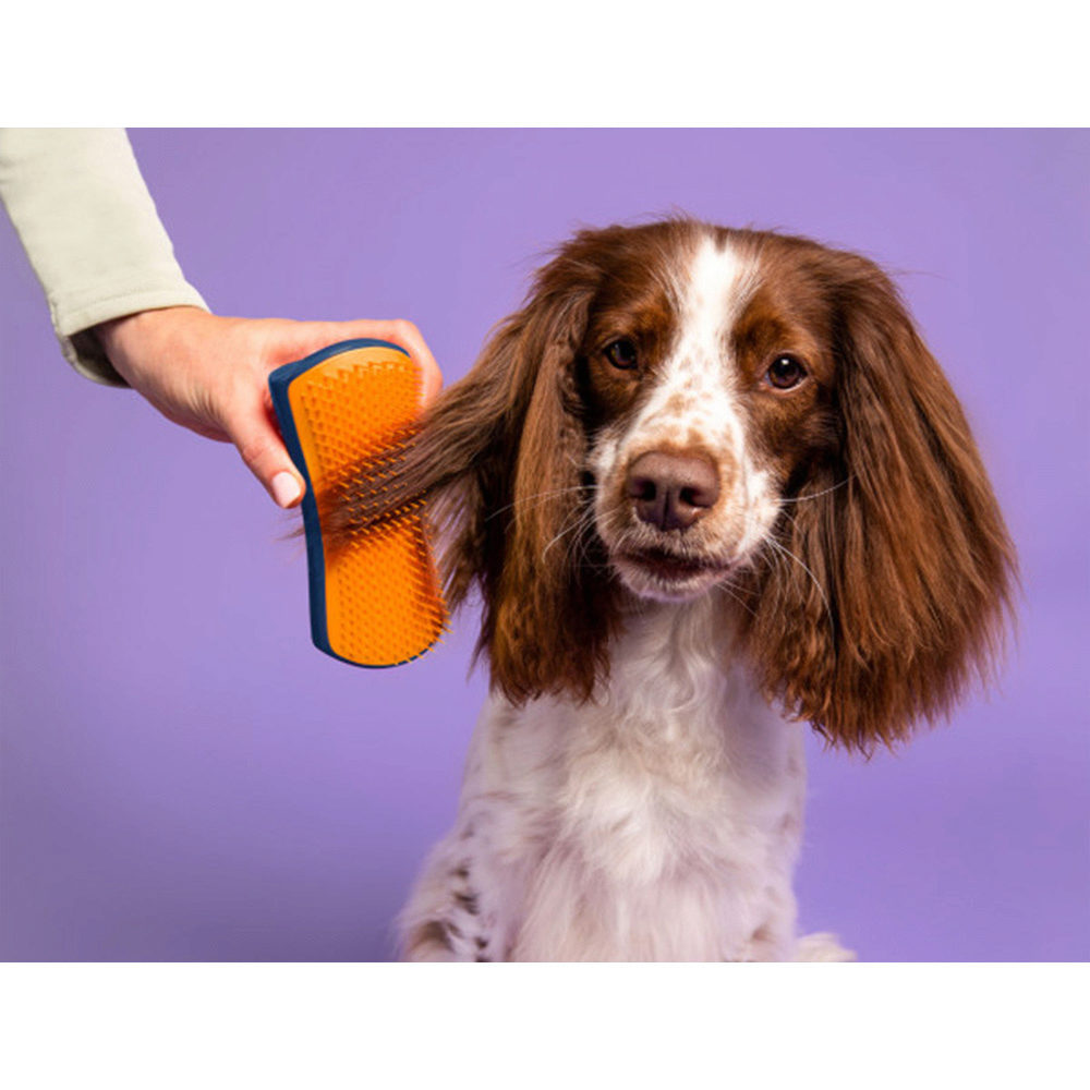 Pet Teezer Detangling Navy/Orange - spazzola districante per cani pelo corto  e fino