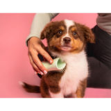 Pet Teezer Puppy Brush Green/Green - spazzola per cuccioli