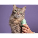 Pet Teezer Cat Brush Green - spazzola per gatti