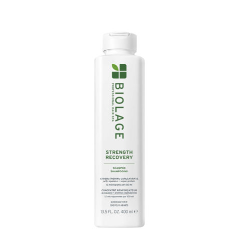 Professional Hair Spa Strenght Recovery Shampoo 400ml - shampoo ristrutturante capelli danneggiati